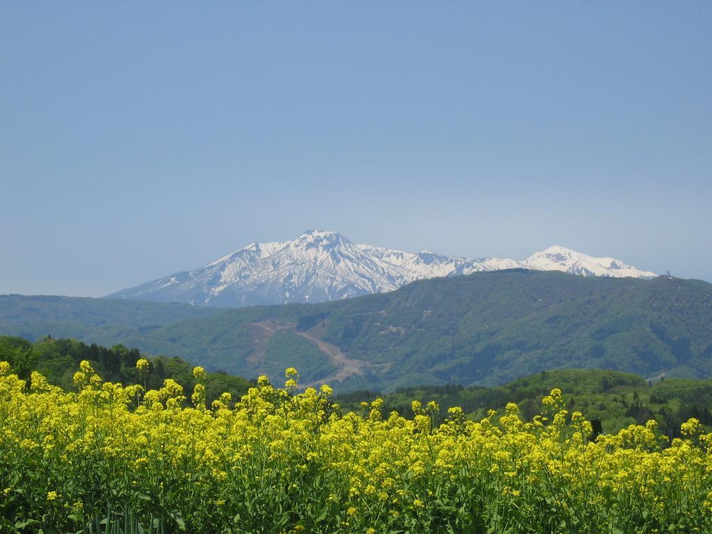 Marushige Villa Nozawaonsen Dış mekan fotoğraf